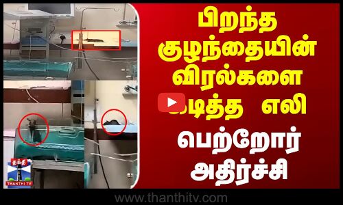 பிறந்த குழந்தையின் விரல்களை கடித்த எலி - பெற்றோர் அதிர்ச்சி