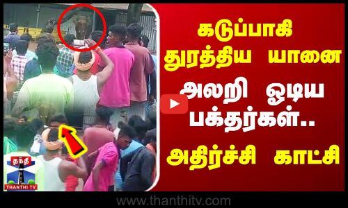 கடுப்பாகி துரத்திய யானை.. அலறி ஓடிய பக்தர்கள்.. அதிர்ச்சி காட்சி