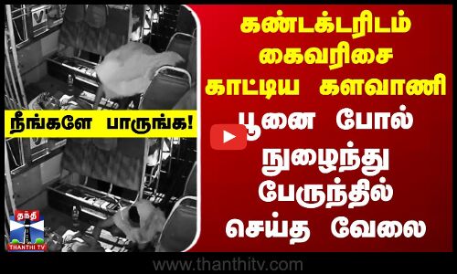 கண்டக்டரிடம் கைவரிசை காட்டிய களவாணி.. பூனை போல் நுழைந்து பேருந்தில் செய்த வேலை - நீங்களே பாருங்க!