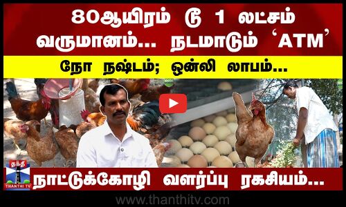 80ஆயிரம் டூ 1 லட்சம் வருமானம்... நடமாடும் `ATMநோ நஷ்டம்; ஒன்லி லாபம்... நாட்டுக்கோழி வளர்ப்பு ரகசியம்...