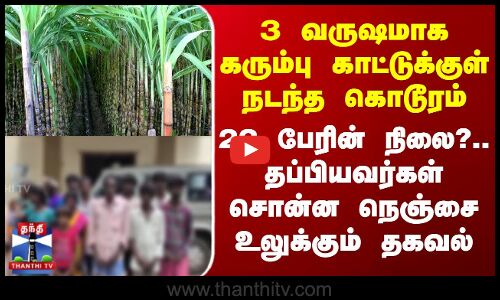 3 வருஷமாக கரும்பு காட்டுக்குள் நடந்த கொடூரம் - 22 பேரின் நிலை?.. நெஞ்சை உலுக்கும் தகவல்