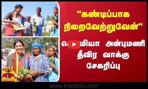 கண்டிப்பாக நிறைவேற்றுவேன்..சௌமியா அன்புமணி தீவிர வாக்கு சேகரிப்பு