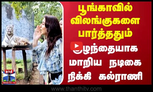 பூங்காவில் விலங்குகளை பார்த்ததும் குழந்தையாக மாறிய நடிகை நிக்கி கல்ராணி