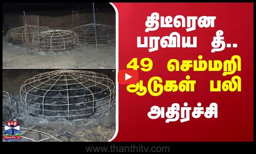 திடீரென பரவிய தீ... 49 செம்மறி ஆடுகள் பலி - அதிர்ச்சி | Tittakudi