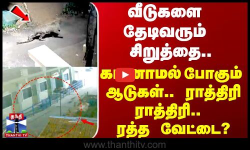 வீடுகளை தேடிவரும் சிறுத்தை.. ராத்திரி ராத்திரி.. ரத்த வேட்டை?