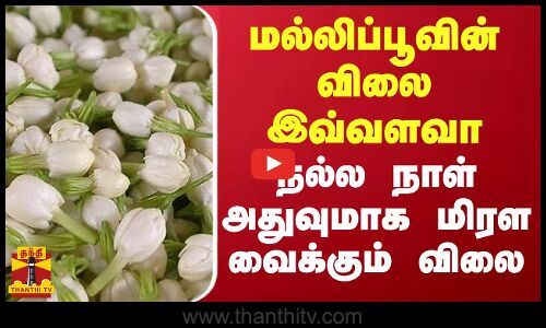 மல்லிப்பூவின் விலை இவ்வளவா... நல்ல நாள் அதுவுமாக மிரள வைக்கும் விலை