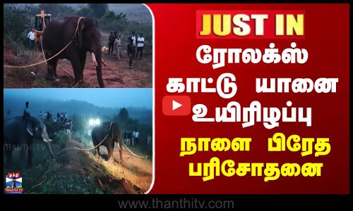 JUSTIN || ரோலக்ஸ் காட்டு யானை உயிரிழப்பு - நாளை பிரேத பரிசோதனை