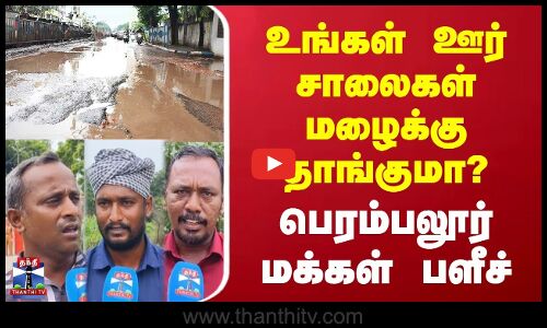 Street Interview | உங்கள் ஊர் சாலைகள் மழைக்கு தாங்குமா? | பெரம்பலூர் மக்கள் பளீச்