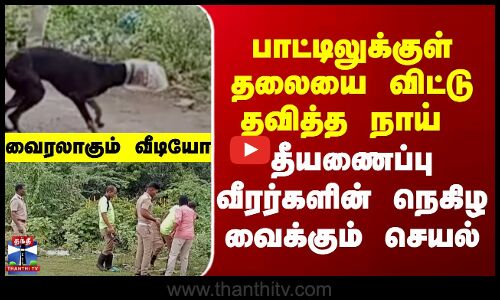 பாட்டிலுக்குள் தலையை விட்டு தவித்த நாய்.தீயணைப்பு வீரர்களின் நெகிழ வைக்கும் செயல்