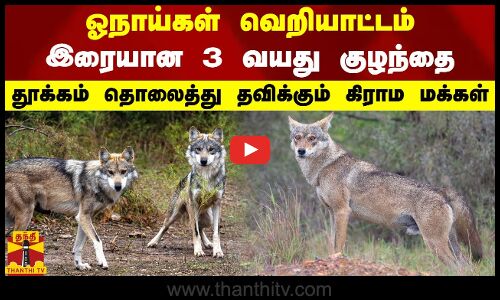 ஓநாய்கள் வெறியாட்டம்.. இரையான 3 வயது குழந்தை.. தூக்கம் தொலைத்து தவிக்கும் கிராம மக்கள்