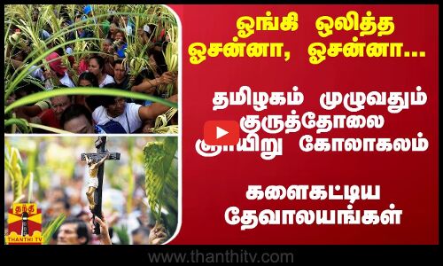 ஓங்கி ஒலித்த ஓசன்னா, ஓசன்னா... தமிழகம் முழுவதும் குருத்தோலை ஞாயிறு கோலாகலம் - களைகட்டிய தேவாலயங்கள்