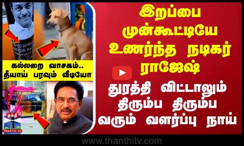 இறப்பை முன்கூட்டியே உணர்ந்த நடிகர் ராஜேஷ்.. துரத்தி விட்டாலும் திரும்ப திரும்ப வரும் வளர்ப்பு நாய்