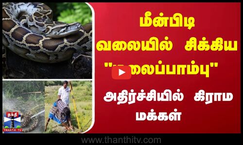 மீன்பிடி வலையில் சிக்கிய மலைப்பாம்பு - அதிர்ச்சியில் கிராம மக்கள்