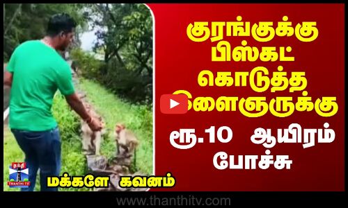 Monkey Food Feeding | குரங்குக்கு பிஸ்கட் கொடுத்த இளைஞருக்கு  ரூ.10 ஆயிரம் அபராதம்