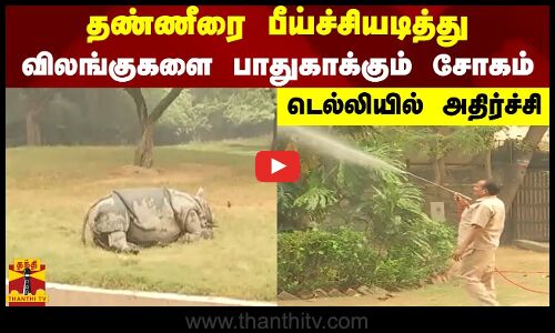 தண்ணீரை பீய்ச்சியடித்து விலங்குகளை பாதுகாக்கும் சோகம் - டெல்லியில் அதிர்ச்சி