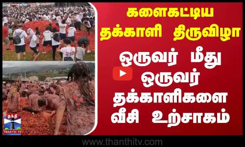 களைகட்டிய தக்காளி திருவிழா - ஒருவர் மீது ஒருவர் தக்காளிகளை வீசி உற்சாகம்