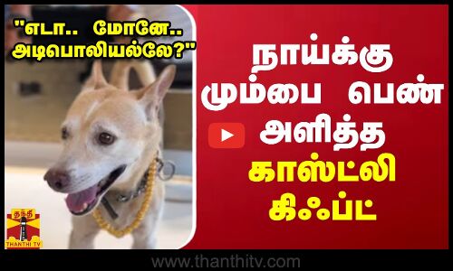 நாய்க்கு மும்பை பெண் அளித்த காஸ்ட்லி கிஃப்ட்