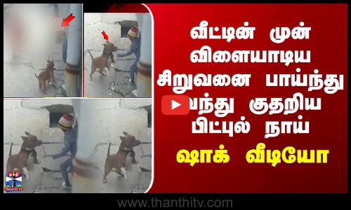 Pit bull | shocking வீட்டின் முன் விளையாடிய சிறுவனை பாய்ந்து வந்து குதறிய பிட்புல் நாய்-ஷாக் வீடியோ