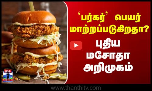 Burger | Europe | பர்கர் பெயர் மாற்றப்படுகிறதா? - புதிய மசோதா அறிமுகம்