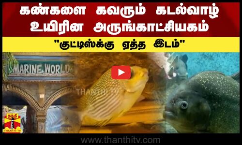 கண்களை கவரும் கடல்வாழ் உயிரின அருங்காட்சியகம்.. குட்டிஸ்க்கு ஏத்த இடம் | Kerala