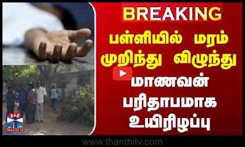 பள்ளியில் மரம் முறிந்து விழுந்து மாணவன் பரிதாபமாக உயிரிழப்பு
