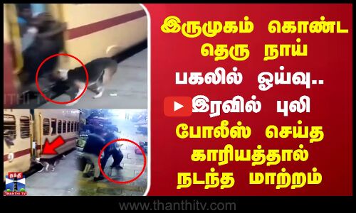 இருமுகம் கொண்ட தெருநாய்.. பகலில் ஓய்வு.. இரவில் புலி..போலீஸ் செய்த காரியத்தால் நடந்த மாற்றம்