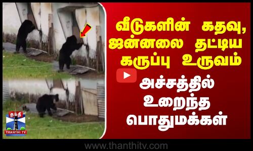 Bear | Nilgiris | வீடுகளின் கதவு, ஜன்னலை தட்டிய கருப்பு உருவம் அச்சத்தில் உறைந்த பொதுமக்கள்