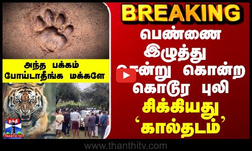 Ooty Tiger | பெண்ணை இழுத்து சென்று கொன்ற கொடூர புலி - சிக்கியது `கால்தடம்’