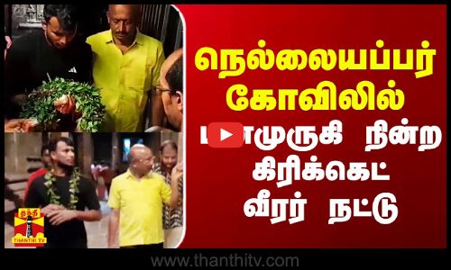 நெல்லையப்பர் கோவிலில் மனமுருகி நின்ற கிரிக்கெட் வீரர் நட்டு