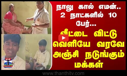 நாலு கால் எமன்.. 2 நாட்களில் 10 பேர்.. வீட்டை விட்டு வெளியே வரவே அஞ்சி நடுங்கும் மக்கள்