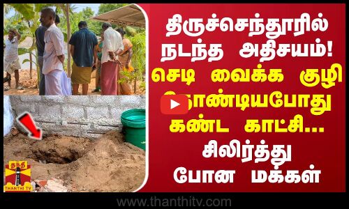 திருச்செந்தூரில் நடந்த அதிசயம்... செடி வைக்கக் குழி தோண்டியபோது கண்ட காட்சி