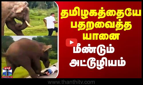 தமிழகத்தையே பதறவைத்த யானை மீண்டும் அட்டூழியம்
