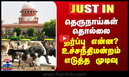தெருநாய்கள் தொல்லை - தீர்ப்பு என்ன? உச்சநீதிமன்றம் எடுத்த முடிவு