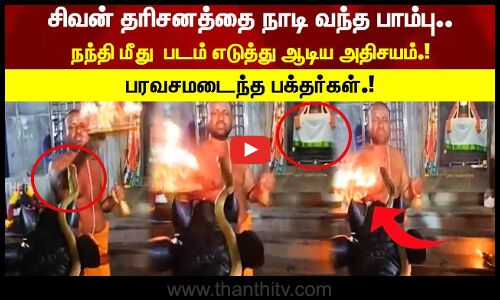 சிவன் தரிசனத்தை நாடி வந்த பாம்பு..நந்தி மீது  படம் எடுத்து ஆடிய அதிசயம்.! பரவசமடைந்த பக்தர்கள்.!