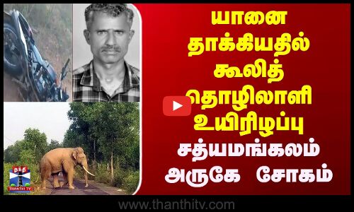 Elephant Attack || யானை தாக்கியதில் கூலித் தொழிலாளி உயிரிழப்பு || சத்யமங்கலம் அருகே சோகம்