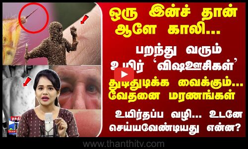 பறந்து வரும் `விஷஊசிகள் துடிதுடிக்க வைக்கும்... வேதனை மரணங்கள் -தப்ப வழி..?