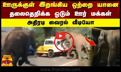 ஊருக்குள் இறங்கிய ஒற்றை யானை  தலைதெறிக்க ஓடும் ஊர் மக்கள்  அதிரடி வைரல் வீடியோ