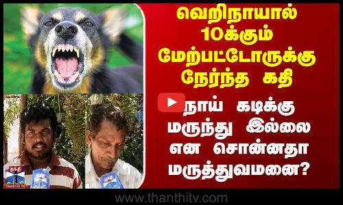 Stray Dogs | Rabies | நாய் கடிக்கு மருந்து இல்லை என சொன்னதா மருத்துவமனை?