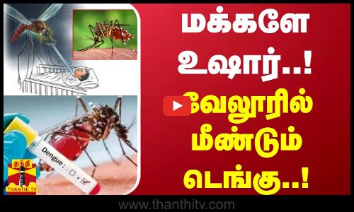 மக்களே உஷார்..வேலூரில் மீண்டும் டெங்கு..! | Dengue Fever | Tamilnadu