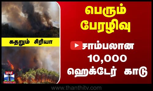 பெரும் பேரழிவு... சாம்பலான 10,000 ஹெக்டேர் காடு... கதறும் சிரியா