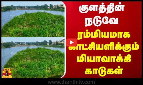 குளத்தின் நடுவே ரம்மியமாக காட்சியளிக்கும் மியாவாக்கி காடுகள்