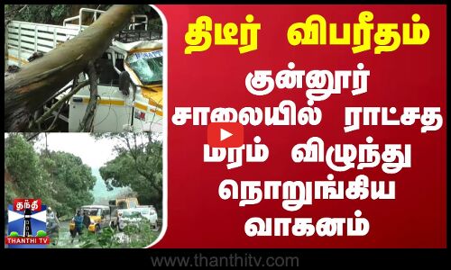 திடீர் விபரீதம்...குன்னூர் சாலையில் ராட்சத மரம் விழுந்து நொறுங்கிய வாகனம்