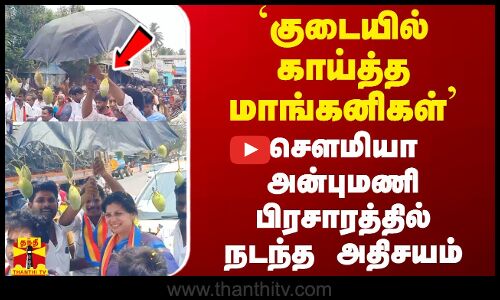 `குடையில் காய்த்த மாங்கனிகள் - செளமியா அன்புமணி பிரசாரத்தில் நடந்த அதிசயம்