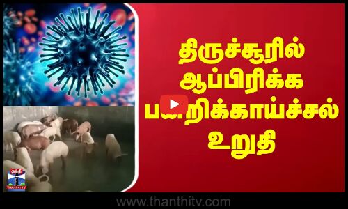 Swine Flu | Virus | Thrissur | திருச்சூரில் ஆப்பிரிக்க பன்றிக்காய்ச்சல் உறுதி