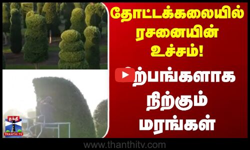 Horticulture | தோட்டக்கலையில் ரசனையின் உச்சம்! - சிற்பங்களாக நிற்கும் மரங்கள்