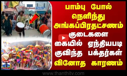 பாம்பு போல் நெளிந்து அங்கப்பிரதட்சணம் | குடைகளை ஏந்தியபடி குவிந்த பக்தர்கள்