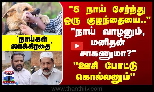 5 நாய் சேர்ந்து ஒரு குழந்தையை.. -மனிதன் சாகணுமா? - `நாய்கள் ஜாக்கிரதை