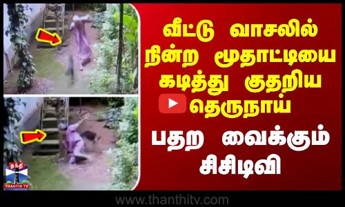 Kerala Dog Bite | வீட்டு வாசலில் நின்ற மூதாட்டியை கடித்து குதறிய தெருநாய் - பதற வைக்கும் சிசிடிவி