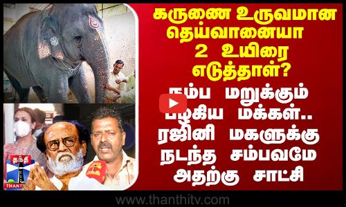 கருணை உருவமான தெய்வானையா 2 உயிரை எடுத்தாள்? - குற்றவுணர்ச்சியில் விட்ட கண்ணீரே சாட்சி