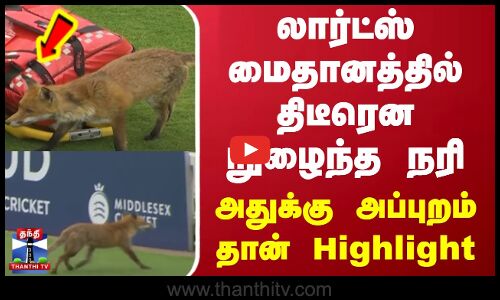 லார்ட்ஸ் மைதானத்தில் திடீரென நுழைந்த நரி - அதுக்கு அப்புறம் தான் Highlight